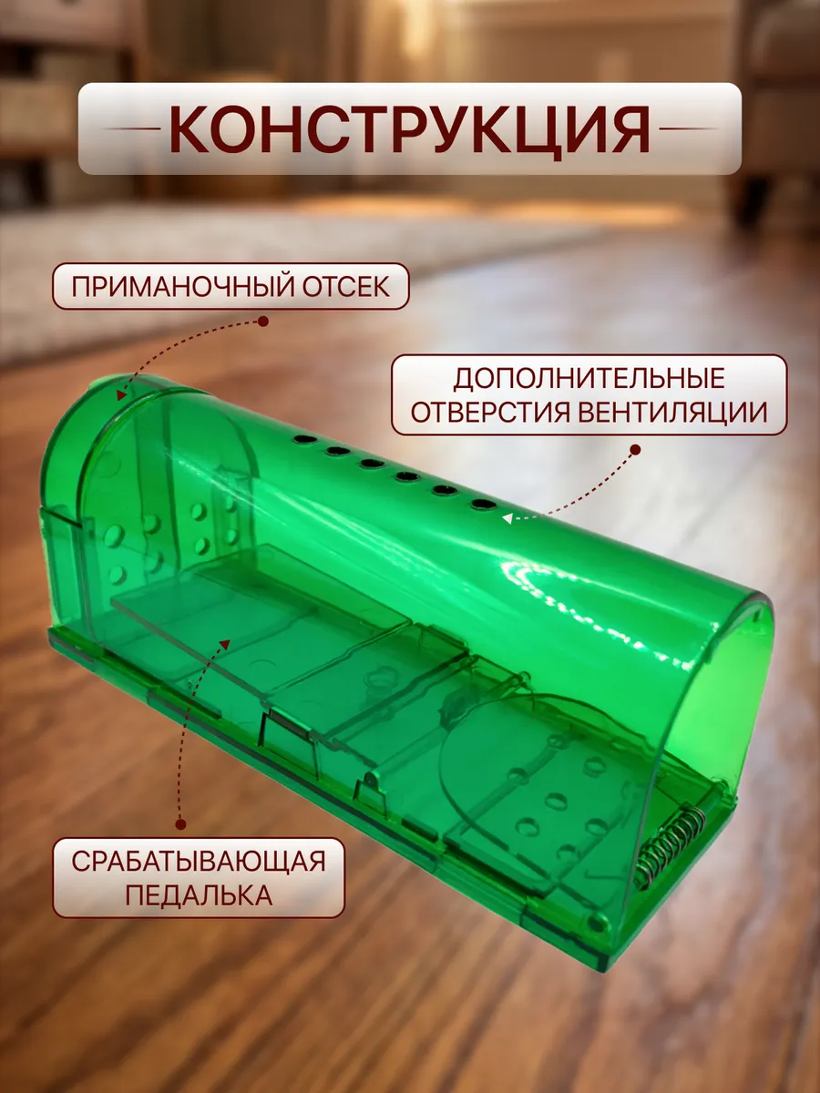 Spa ProBrush